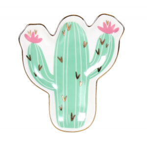 Talířek - Kaktus ALBI