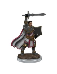 WizKids D&D Icons of the Realms Premium Figures: Male Human Paladin