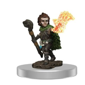 WizKids Pathfinder Painted Premium: Male Gnome Druid